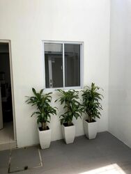 Macpherson Garden Estate (D13), Terrace #483365781